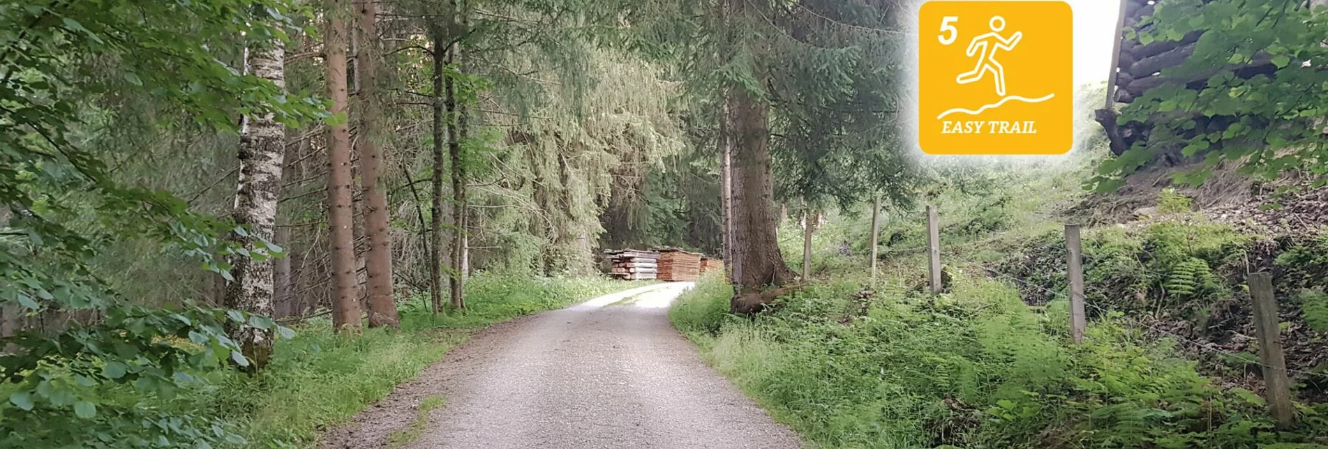 Trail Running Rohrmoos Run - Touren-Impression #1 | © Erlebnisregion Schladming-Dachstein
