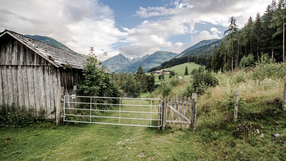 Trailrunning Rohrmoos Laufrunde - Touren-Impression #2.1 | © Tourismusverband Schladming