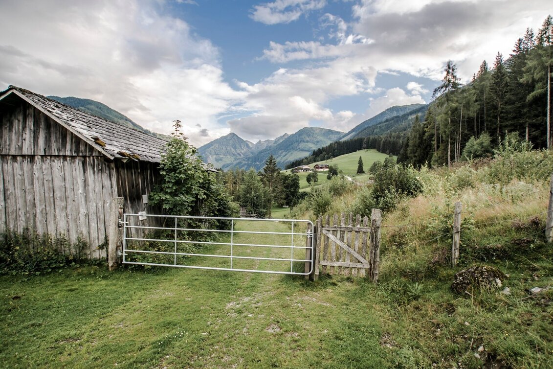 Trailrunning Rohrmoos Laufrunde - Touren-Impression #1 | © Tourismusverband Schladming