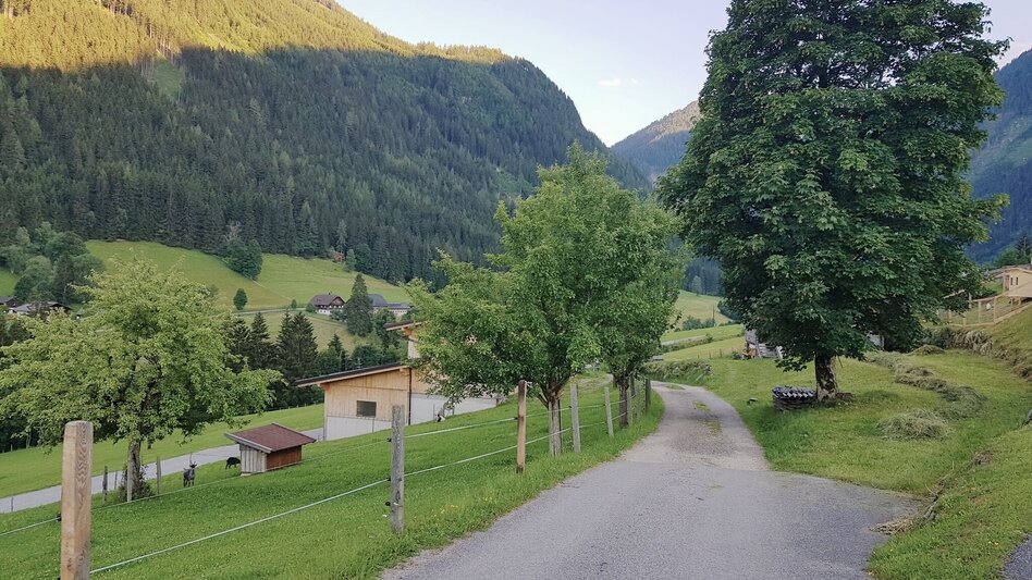 Trailrunning Rohrmoos Laufrunde - Touren-Impression #2.3 | © Gerhard Pilz