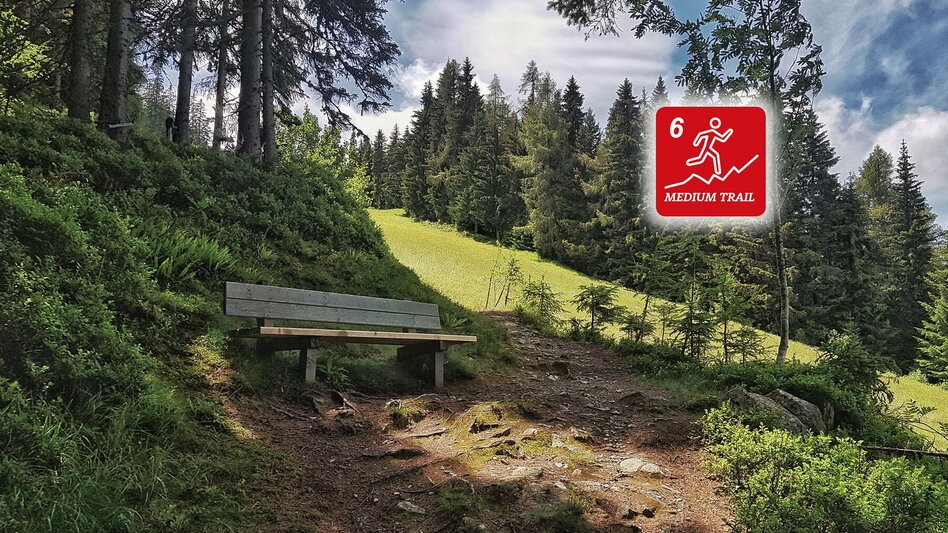Trailrunning Hochwurzen Trail - Touren-Impression #2.8 | © Erlebnisregion Schladming-Dachstein