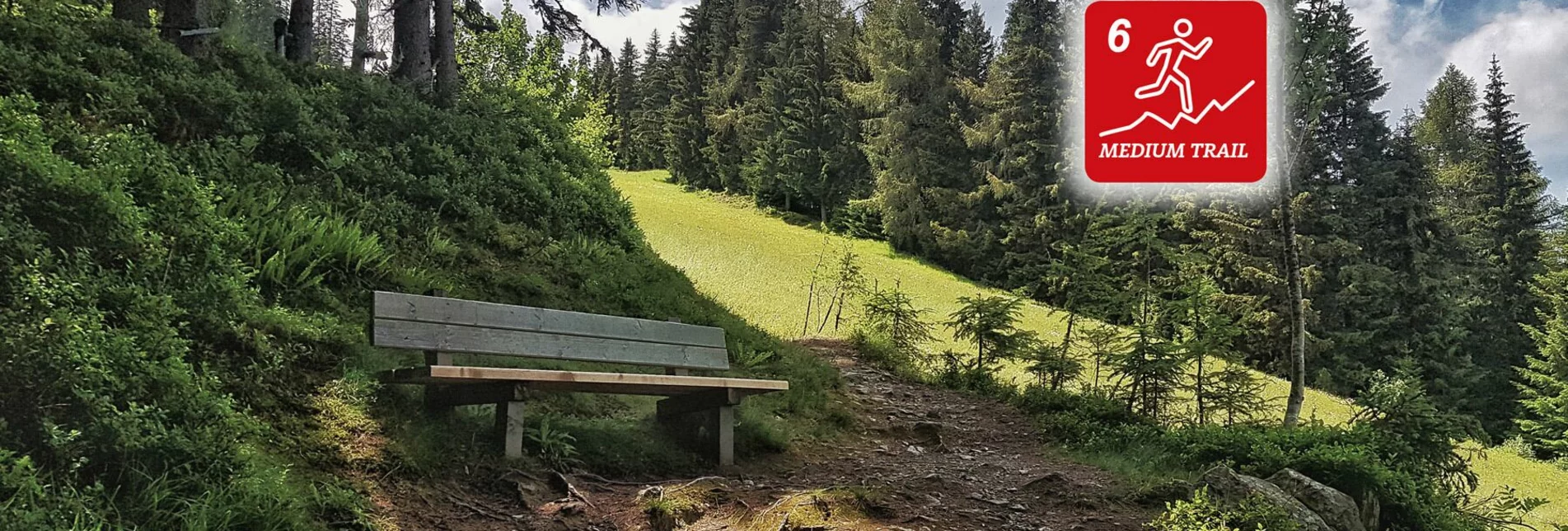 Trailrunning Hochwurzen Trail - Touren-Impression #1 | © Erlebnisregion Schladming-Dachstein