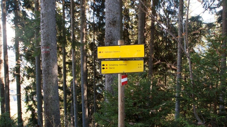 Trailrunning Hochwurzen Trail - Touren-Impression #2.7 | © Gerhard Pilz