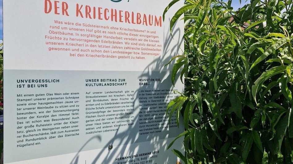 Hiking Route Over hill and dale – Nature Park walking trail  - Touren-Impression #2.5 | © TV Südsteiermark/Daniela Haring