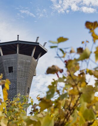 wasserturm_motorikpark_cweges_11.jpg | Weges | © Weges