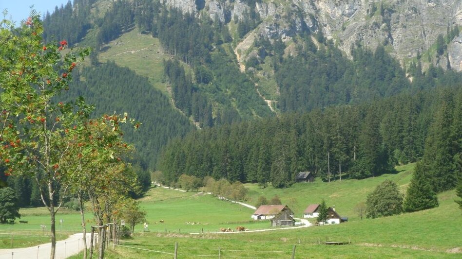 Hiking Route Donnersalpe - Touren-Impression #2.6 | © Tourismusverband ERZBERG LEOBEN