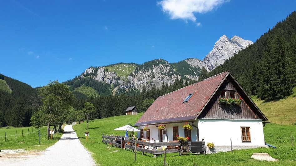 Hiking Route Donnersalpe - Touren-Impression #2.7 | © Tourismusverband ERZBERG LEOBEN