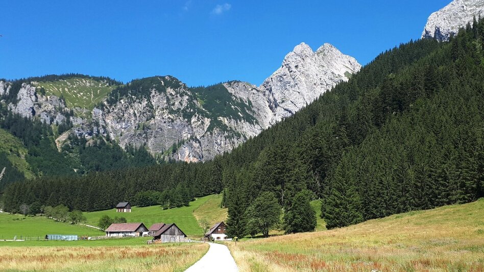 Hiking Route Donnersalpe - Touren-Impression #2.8 | © Tourismusverband ERZBERG LEOBEN