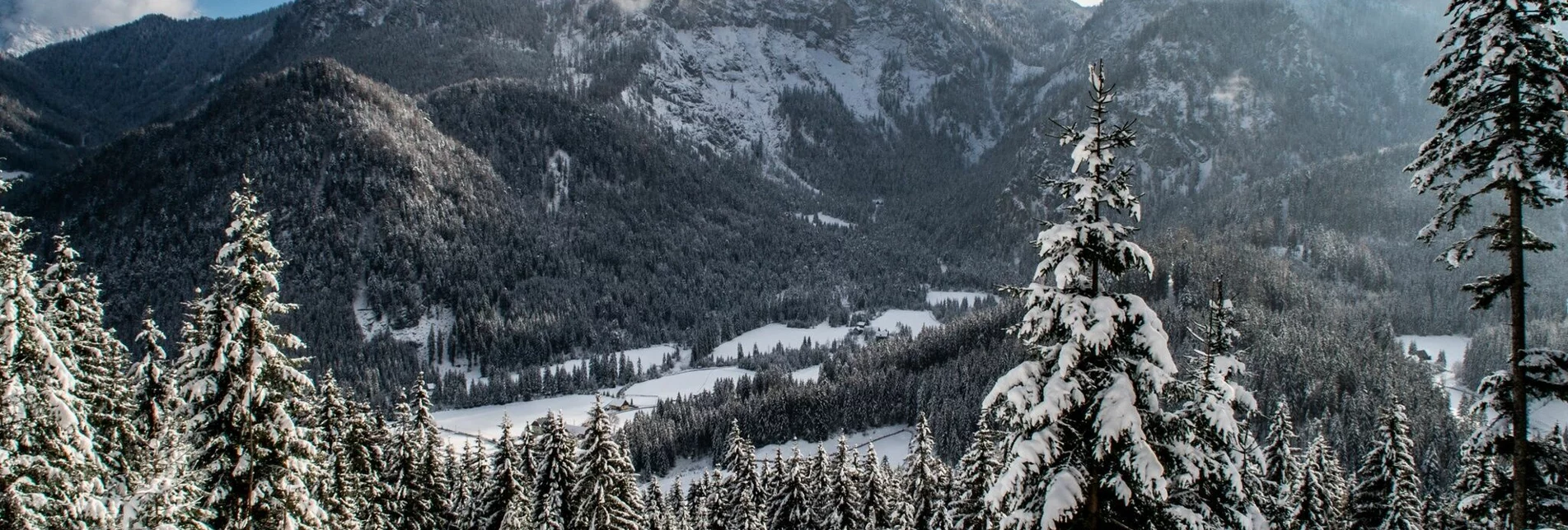 Schneeschuh Panorama Tour Hinterwildalpen - Touren-Impression #1 | © TV Gesäuse