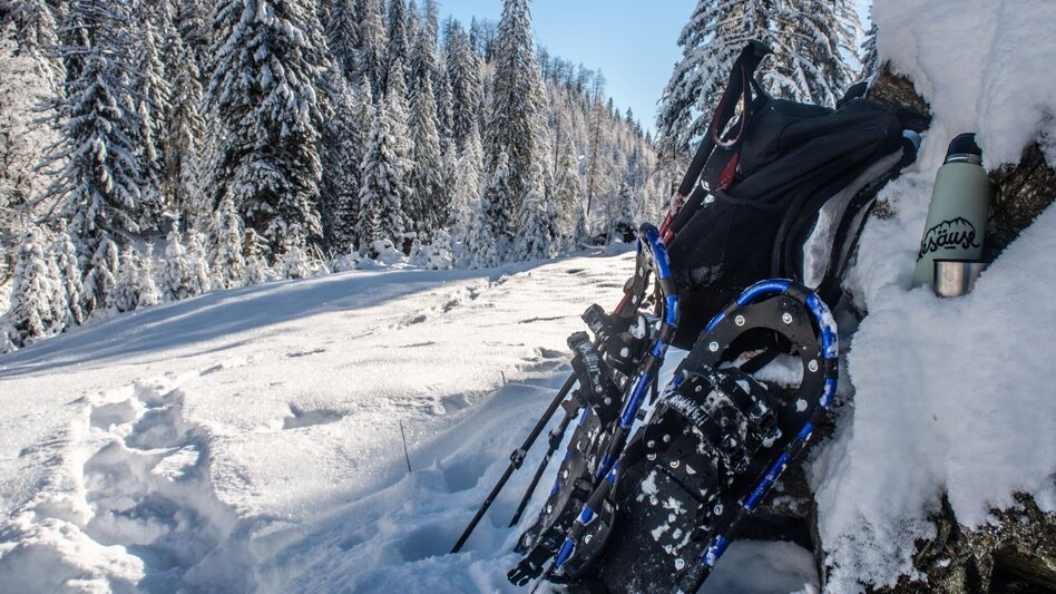 Schneeschuhwandern Auf die Goss in Hinterwildalpen - Touren-Impression #2.4 | © TV Gesäuse
