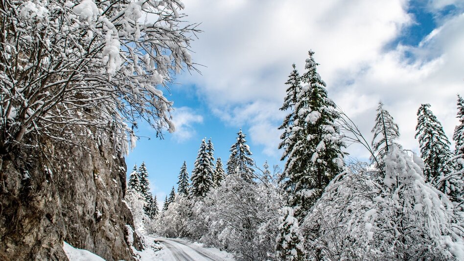 Schneeschuhwandern Auf die Goss in Hinterwildalpen - Touren-Impression #2.5 | © TV Gesäuse