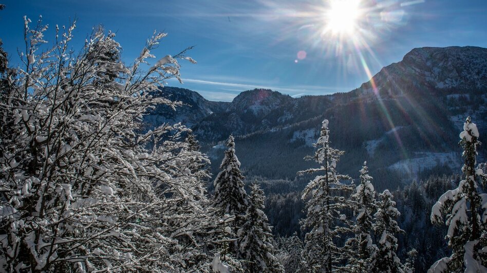 Schneeschuhwandern Auf die Goss in Hinterwildalpen - Touren-Impression #2.6 | © TV Gesäuse