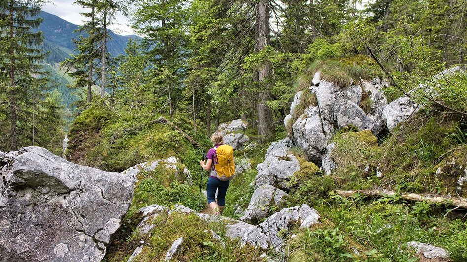 Wanderung Lugauer, 2217 m - das "steirische Matterhorn" - Touren-Impression #2.4 | © Weges OG