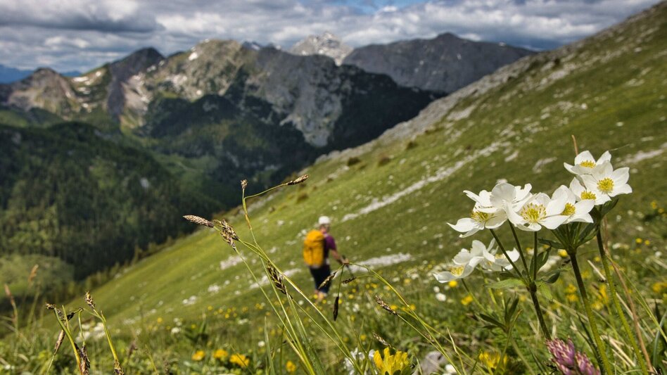 Wanderung Lugauer, 2217 m - das "steirische Matterhorn" - Touren-Impression #2.7 | © Weges OG
