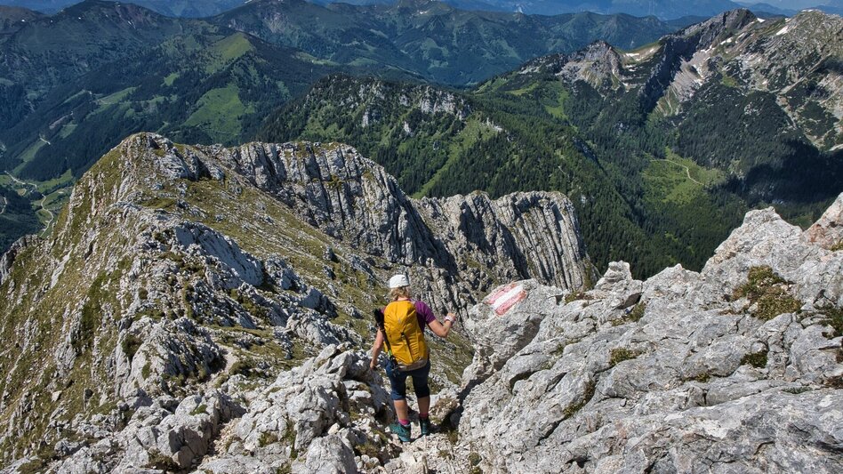 Wanderung Lugauer, 2217 m - das "steirische Matterhorn" - Touren-Impression #2.10 | © Weges OG