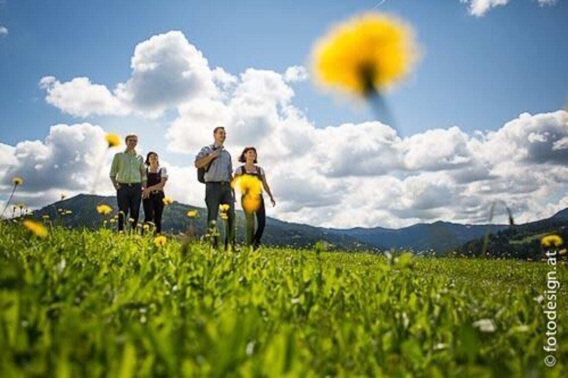 Wanderung Stanzer WirteWanderWeg Almwirt - Touren-Impression #1 | © TV Hochsteiermark