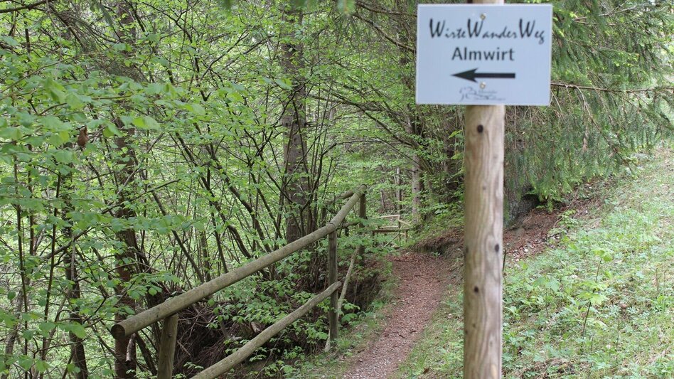 Wanderung Stanzer WirteWanderWeg Almwirt - Touren-Impression #2.2 | © TV Hochsteiermark