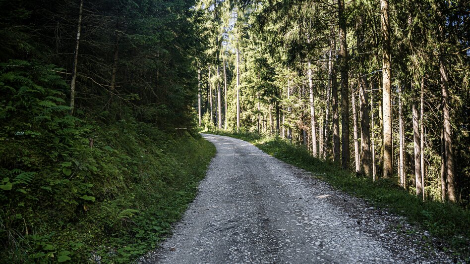 Wanderung Lantschern-Gatschen-Weg - Touren-Impression #2.4 | © Gerhard Pilz