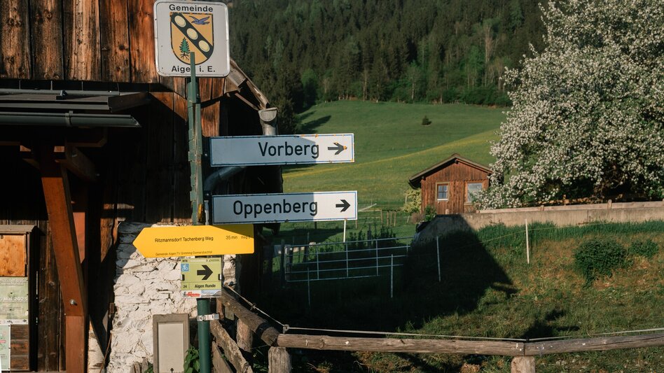 Wanderung Stalingradkreuz-Kohlanger-Rastanger-Weg - Touren-Impression #2.8 | © Christoph Lukas