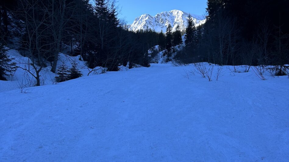Skitour Skitour - Triebenkogel, der Schitourenkönig des Vordertriebentals - Touren-Impression #2.2 | © Marlena Schüssler