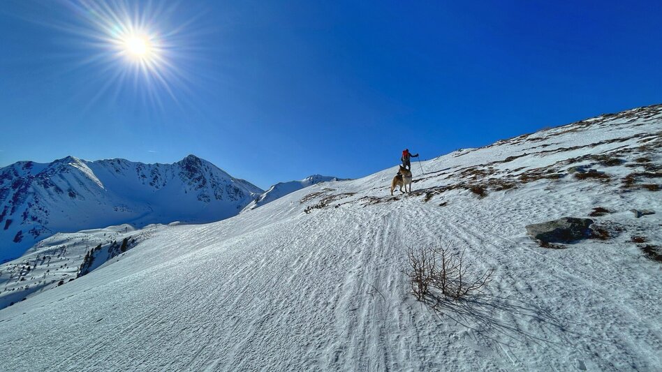Skitour Skitour - Triebenkogel, der Schitourenkönig des Vordertriebentals - Touren-Impression #2.4 | © Marlena Schüssler