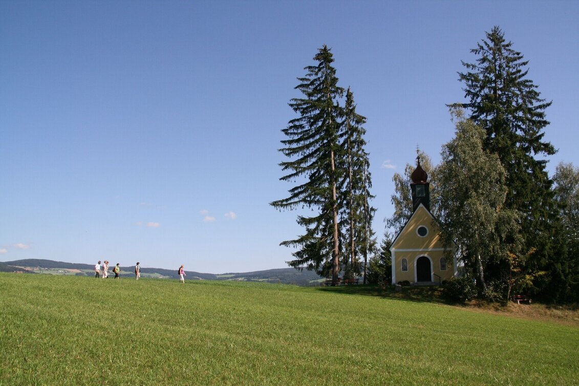 Themen- und Lehrpfad Franz Höller Rundweg, Waisenegg - Touren-Impression #1 | © Karl Zodl