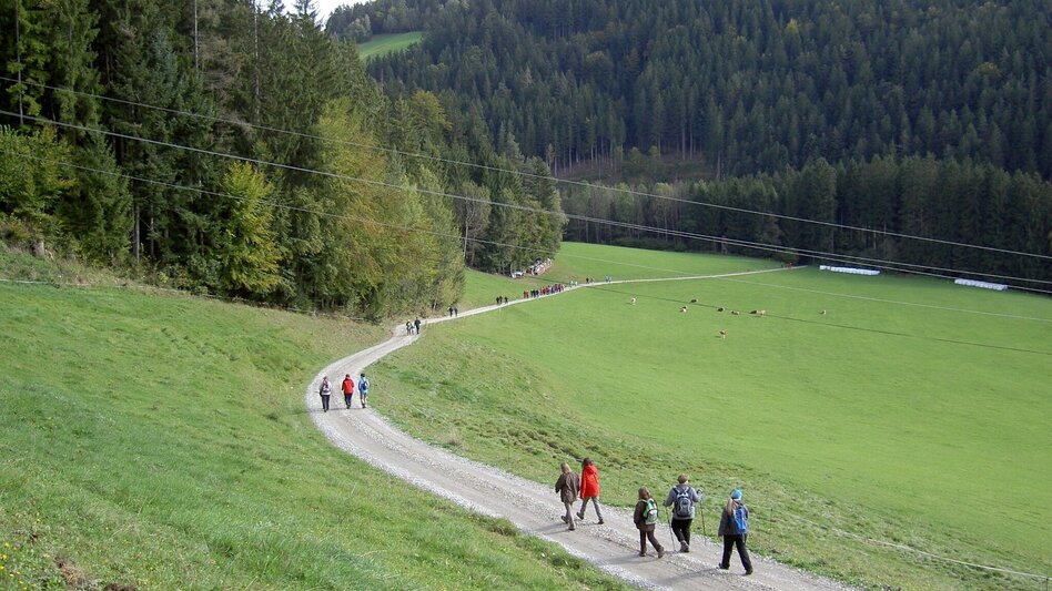 Themen- und Lehrpfad Franz Höller Rundweg, Waisenegg - Touren-Impression #2.2 | © Karl Zodl