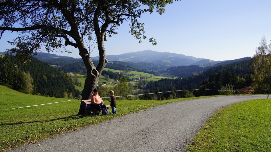 Themen- und Lehrpfad Franz Höller Rundweg, Waisenegg - Touren-Impression #2.3 | © Karl Zodl