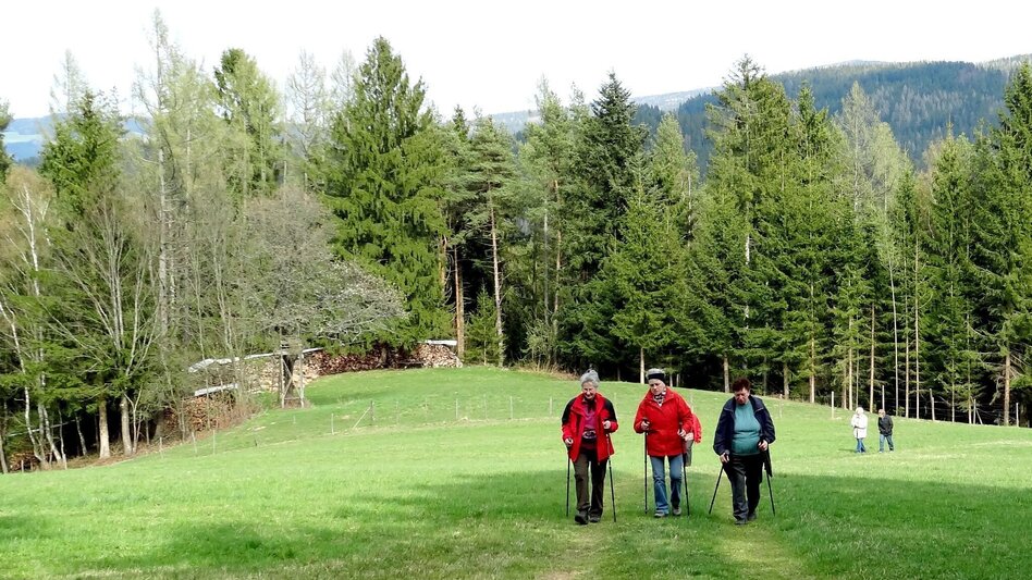 Themen- und Lehrpfad Franz Höller Rundweg, Waisenegg - Touren-Impression #2.5 | © Karl Zodl
