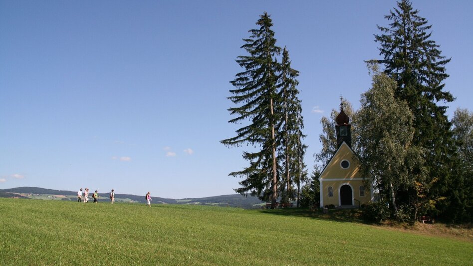 Wanderung Hoadholz - Rundwanderweg, Waisenegg - Touren-Impression #2.3 | © Karl Zodl