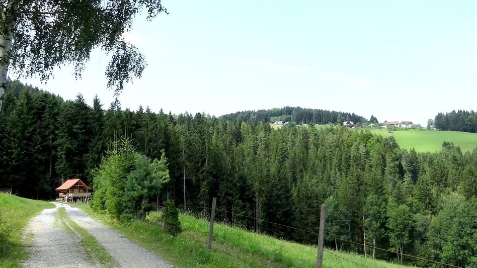 Wanderung Hoadholz - Rundwanderweg, Waisenegg - Touren-Impression #2.2 | © Karl Zodl