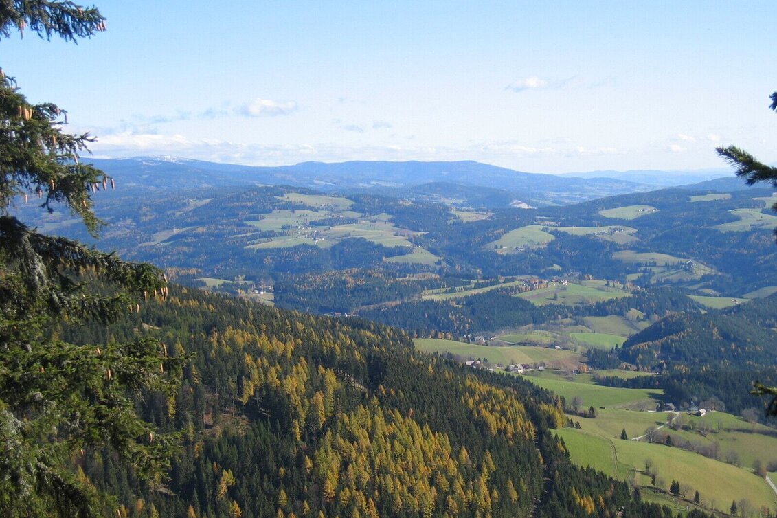 Mountainbike Fischbacher Alpen Tour 611, Fischbach - Touren-Impression #1 | © Oststeiermark Tourismus