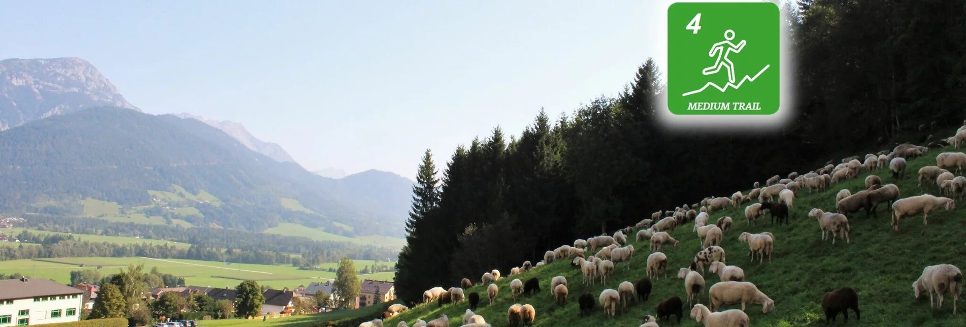 Trailrunning Gumpenberg Trail (Nr. 4) - Touren-Impression #1 | © Erlebnisregion Schladming-Dachstein