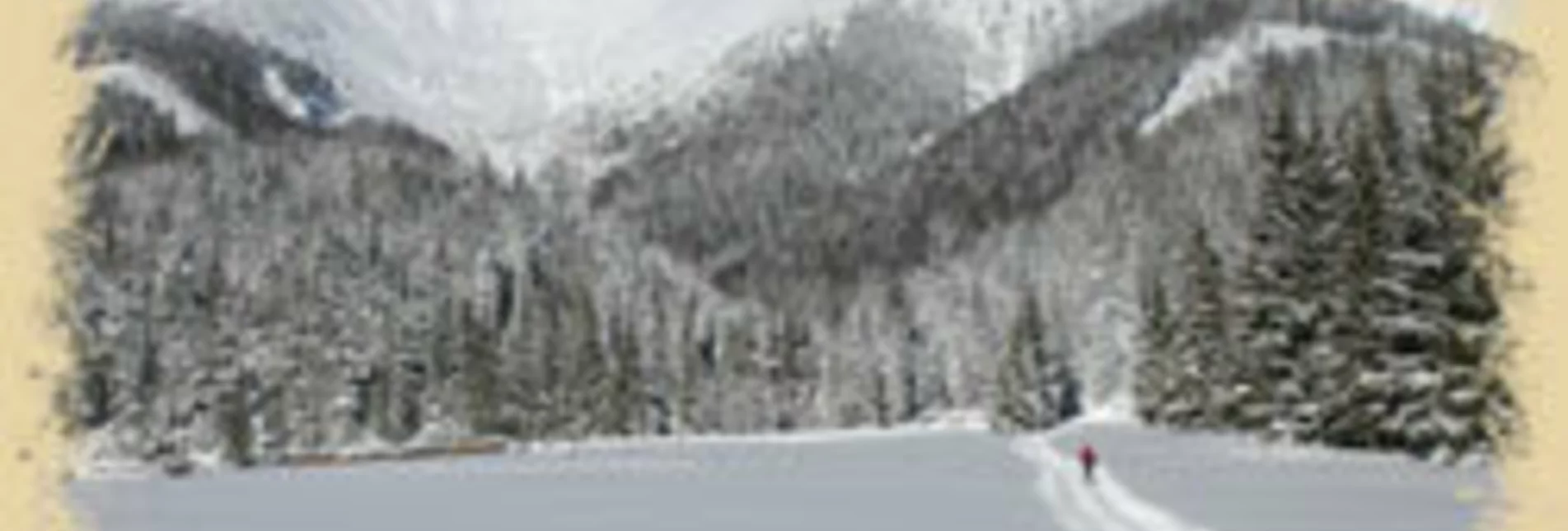 Ski-nordic-classic Zwei-Länder-Loipe Lahnsattel - Touren-Impression #1 | © TV Hochsteiermark