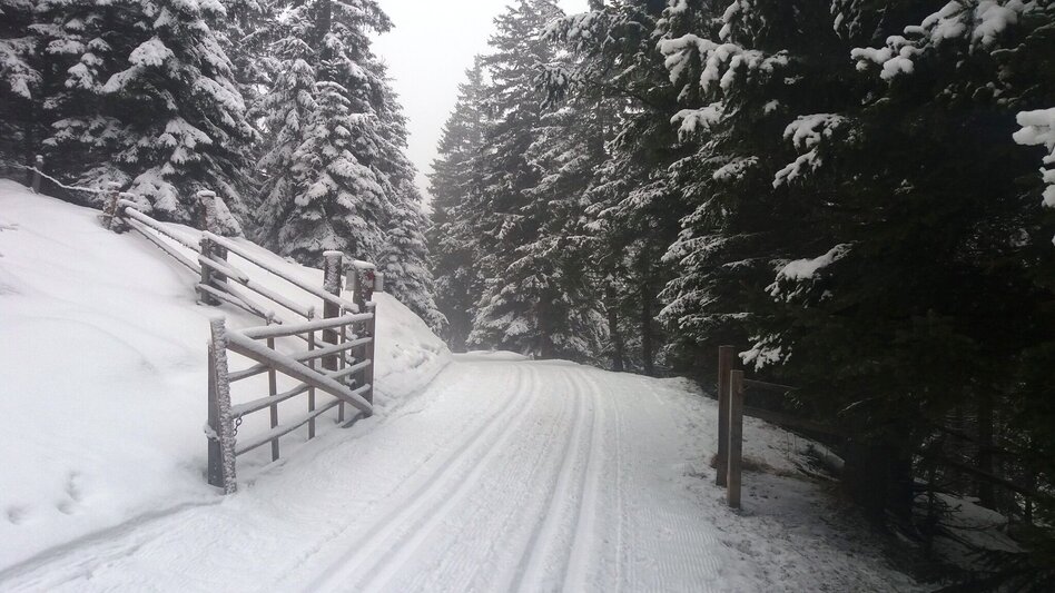 Snowshoe Walking Großeben-Runde mit Mariengruß - Touren-Impression #2.2 | © Region Graz