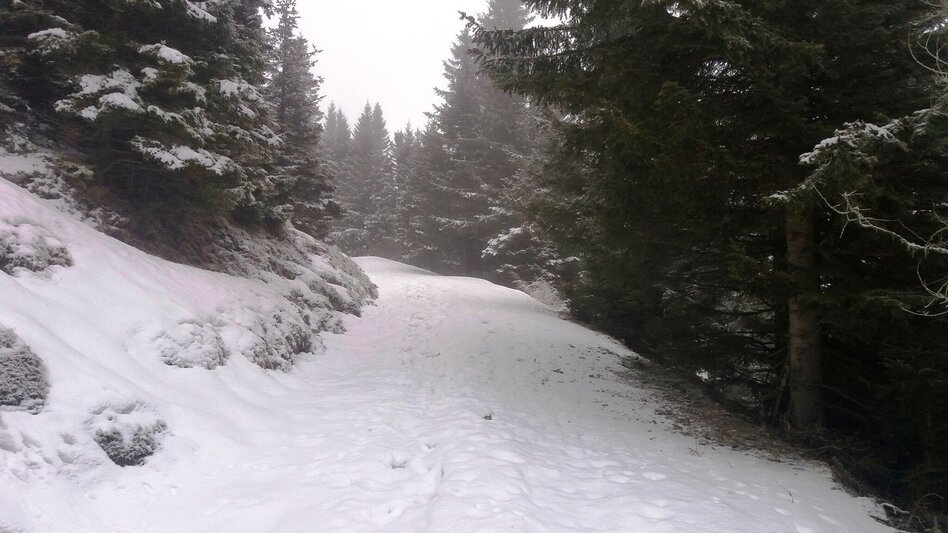 Snowshoe Walking Großeben-Runde mit Mariengruß - Touren-Impression #2.5 | © Region Graz