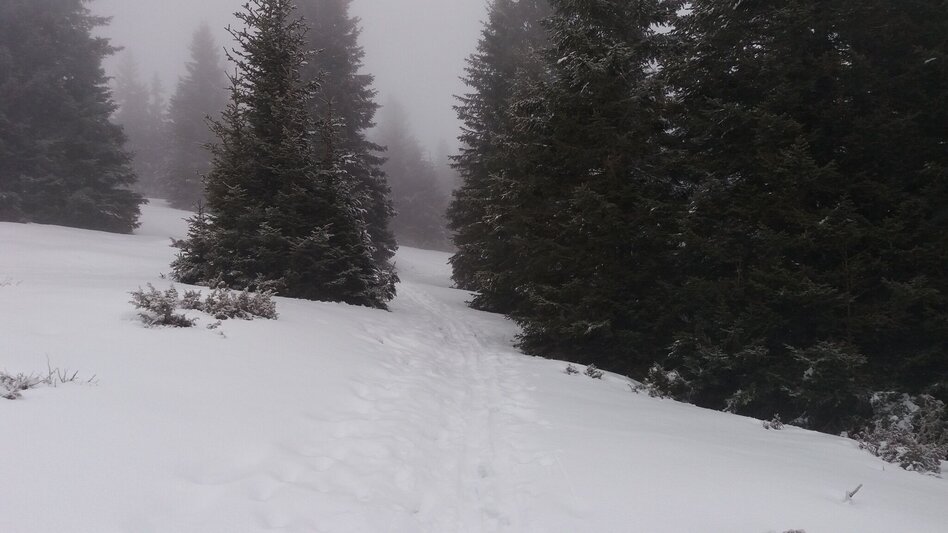 Snowshoe Walking Großeben-Runde mit Mariengruß - Touren-Impression #2.9 | © Region Graz