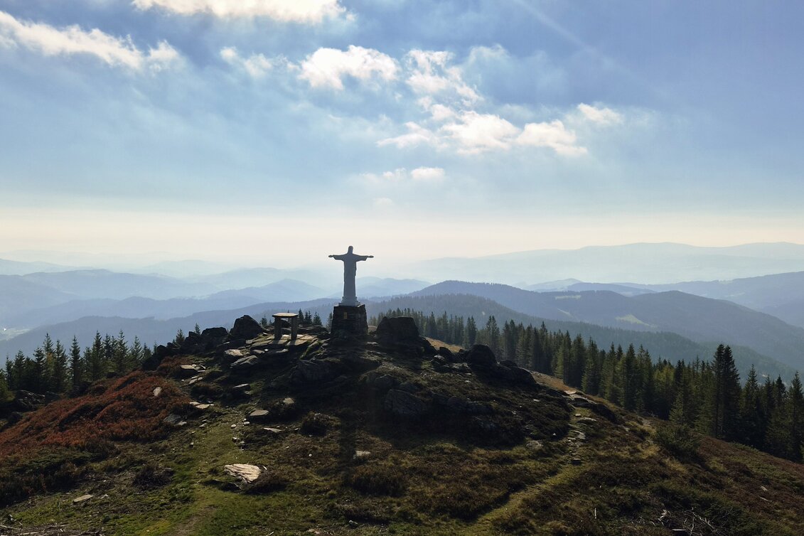 Wanderung Rundwanderung auf der Terenbachalm - Touren-Impression #1 | © Region Graz