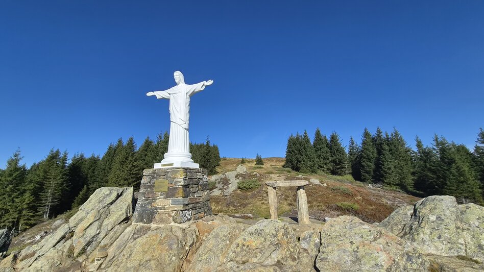Wanderung Rundwanderung auf der Terenbachalm - Touren-Impression #2.4 | © Region Graz