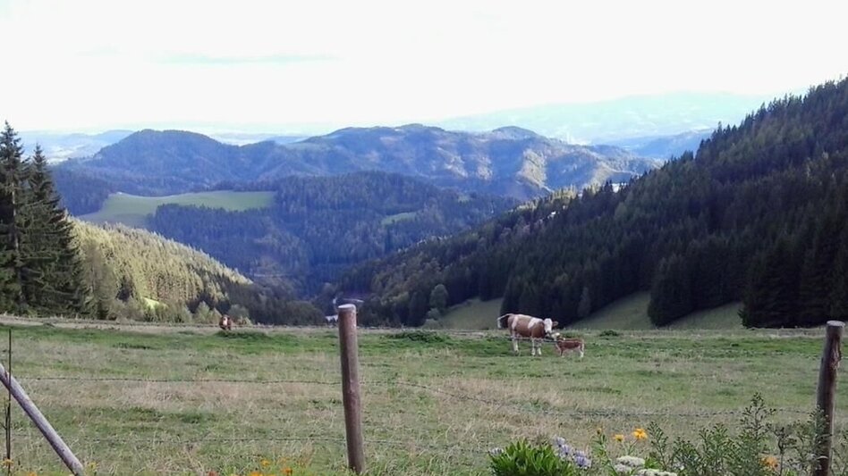 Wanderung Kapitel Runde - Touren-Impression #2.1 | © Region Graz