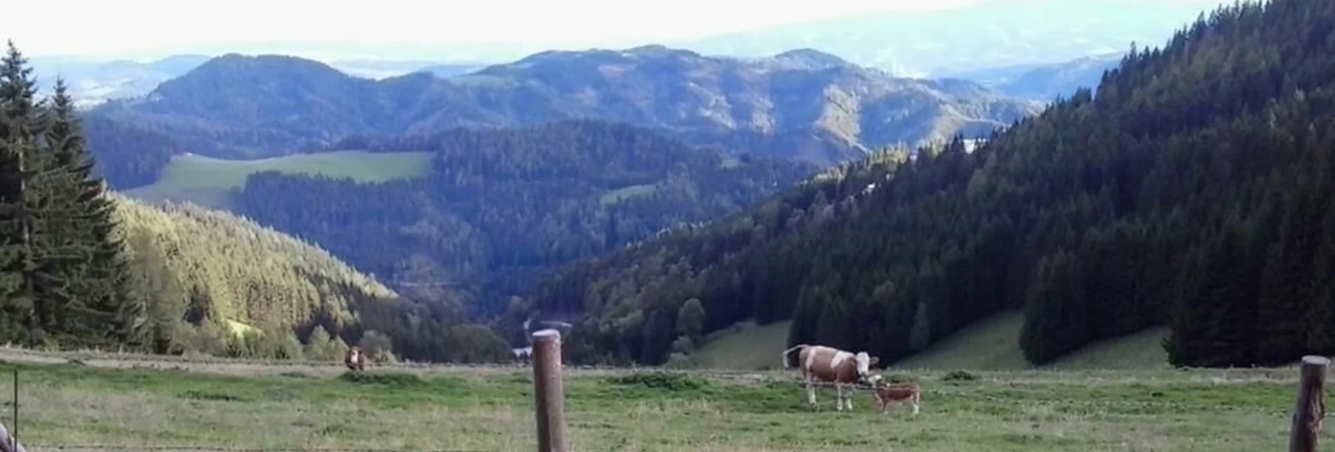 Hiking route Kapitel roundtrip - Touren-Impression #1 | © Region Graz