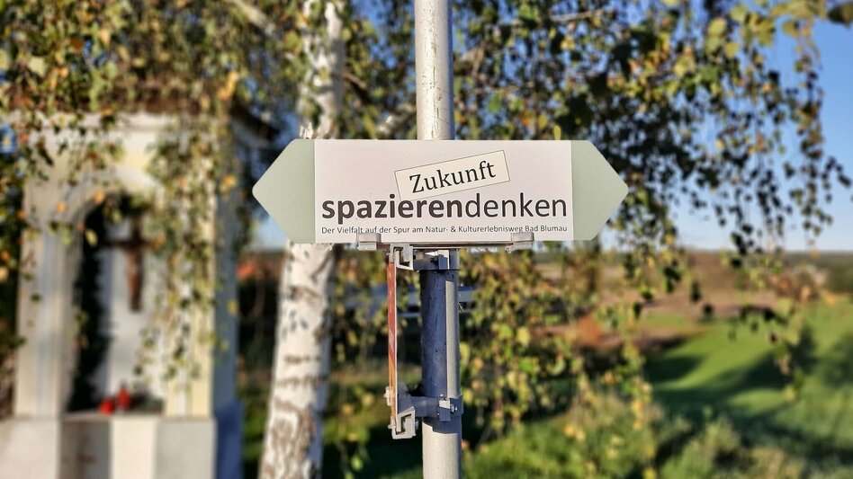 Wanderung Natur- & Kulturerlebnisweg Bad Blumau - „Zukunft spazierendenken“ - Touren-Impression #2.3 | © Thermen- & Vulkanland