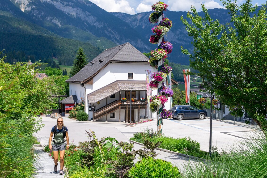 Wanderung Oberhausberg-Runde - Touren-Impression #1 | © Erlebnisregion Schladming-Dachstein