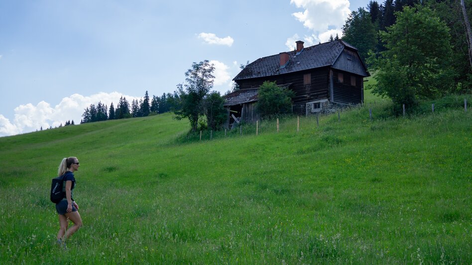 Wanderung Oberhausberg-Runde - Touren-Impression #2.5 | © Erlebnisregion Schladming-Dachstein