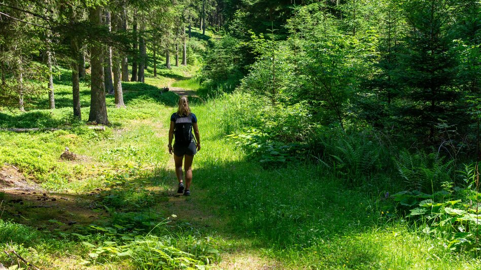 Wanderung Oberhausberg-Runde - Touren-Impression #2.7 | © Erlebnisregion Schladming-Dachstein