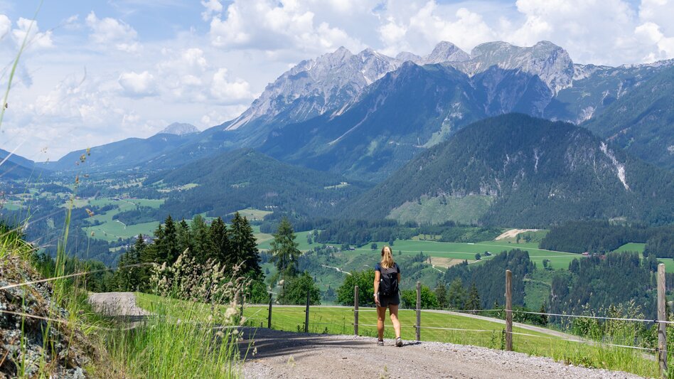 Wanderung Oberhausberg-Runde - Touren-Impression #2.9 | © Erlebnisregion Schladming-Dachstein