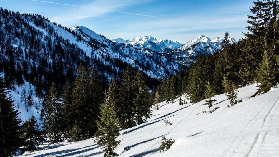 Skitour Skitour Buchberg von Gams - Touren-Impression #2.1 | © TV Gesäuse
