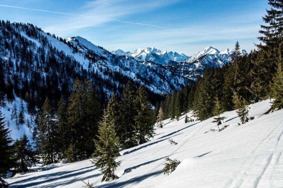 Skitour Skitour Buchberg von Gams - Touren-Impression #1 | © TV Gesäuse