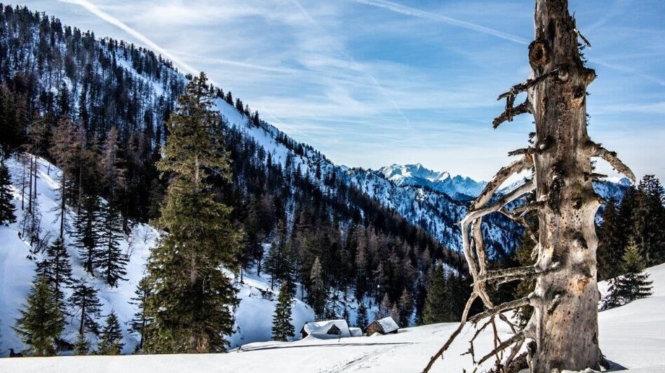 Skitour Skitour Buchberg von Gams - Touren-Impression #2.3 | © TV Gesäuse