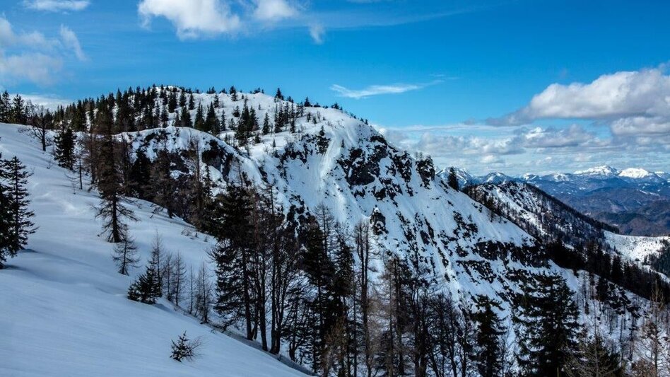 Skitour Skitour Buchberg von Gams - Touren-Impression #2.5 | © TV Gesäuse